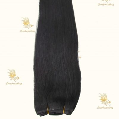 100 g /pc menschliches Haar unverarbeitetes Jungfrau Remy russische Haarspitzen Clip in Haarverlängerungen