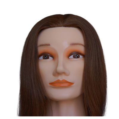 Europäische und asiatische Gesichtstrainingsmannequins für die Ausbildung von menschlichen Haaren
