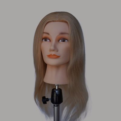 165g 613 Blondes, echtes menschliches Haar, Schulungsmodell, erschwingliche Versandkosten und Zeit