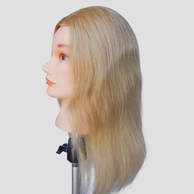 165g 613 Blondes, echtes menschliches Haar, Schulungsmodell, erschwingliche Versandkosten und Zeit